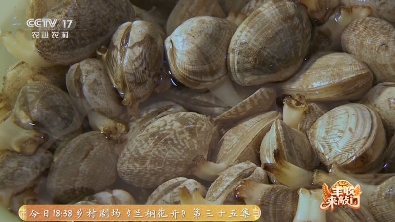 《谁知盘中餐》 20251121 丰收来敲门 鲜自海中来