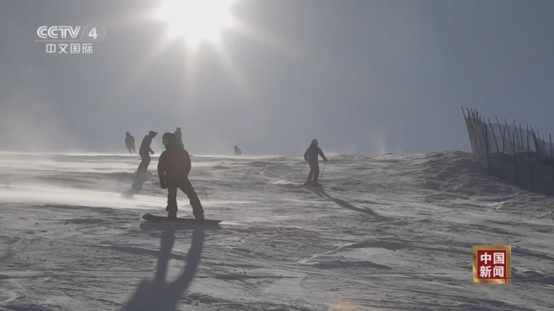 《中国新闻》 20251122 04:00