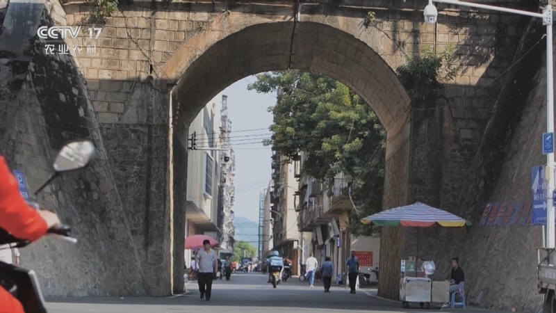 《谁知盘中餐》 20251125 丰收来敲门 烟火岭南寻“粤”味