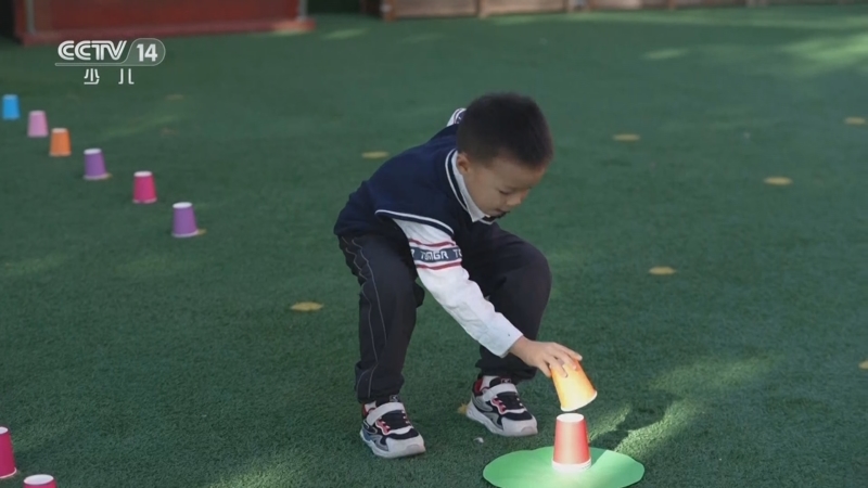 《智慧树》 20251125