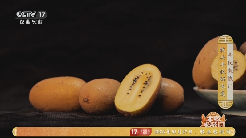 《谁知盘中餐》 20251127 丰收来敲门 枝头丰收好味道