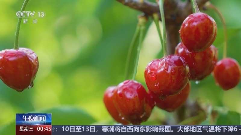 《午夜新闻》 20251210