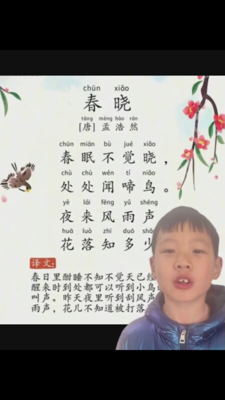 450_800竖版 竖屏gif 动态图 动图