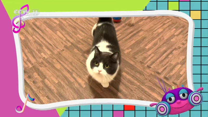 《小小智慧树》 20251225