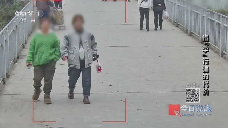 《今日说法》 20260327 借“孕”行骗的代价