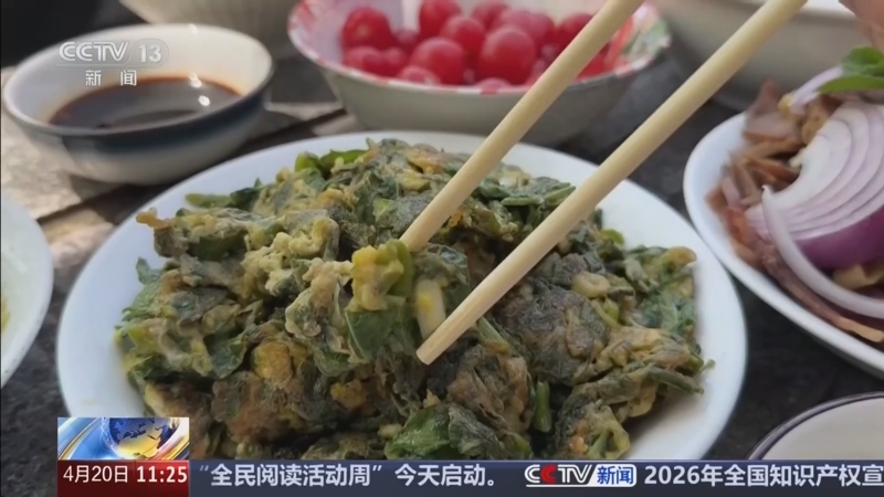 民谚里的科学密码·二十四节气之谷雨 谷雨“吃春” 尝鲜养生