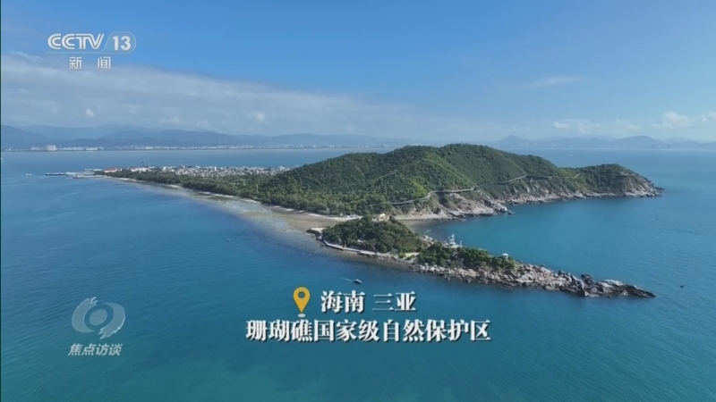 《焦点访谈》 20260608 绘就经略海洋新“蓝”图