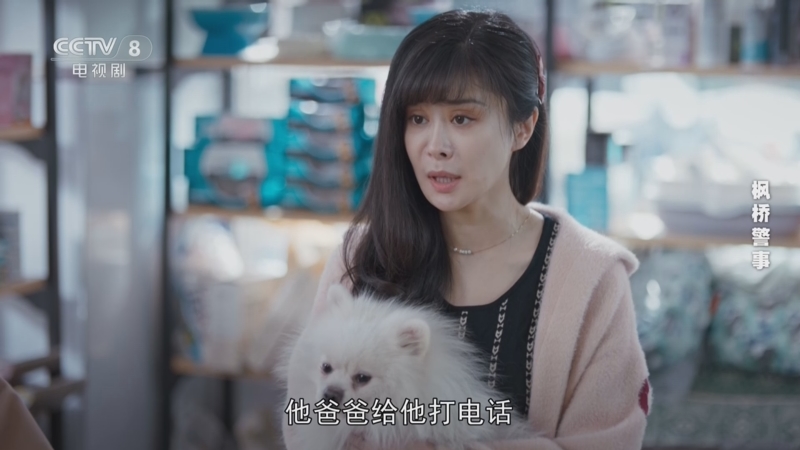 枫桥警事 23集