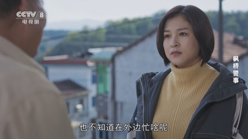 枫桥警事 4集