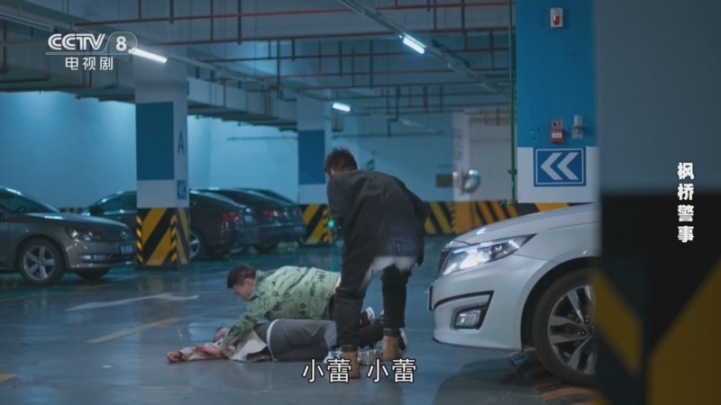 枫桥警事 24集