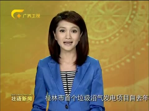 壮语新闻_电视猫