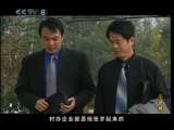 三连襟 12集