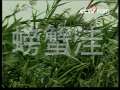 螃蟹洼 2集