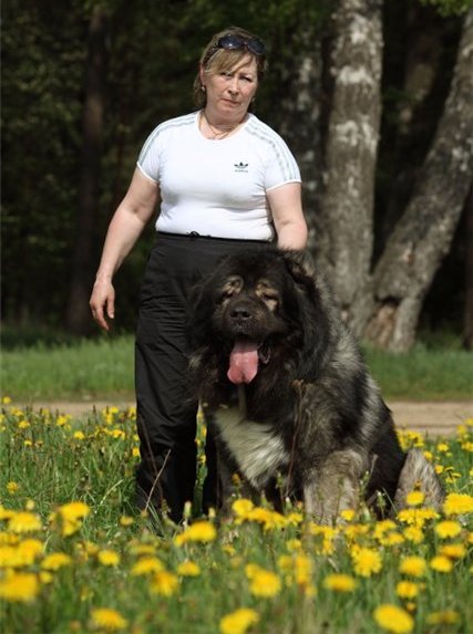 com_mongol home page