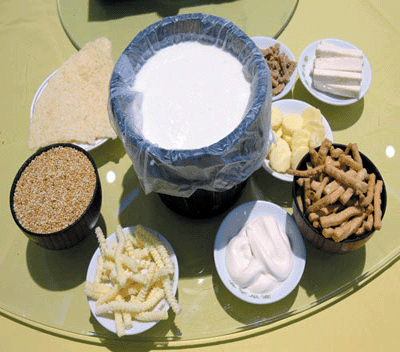 蒙古语_央视网 - cctv.com_mongol home page