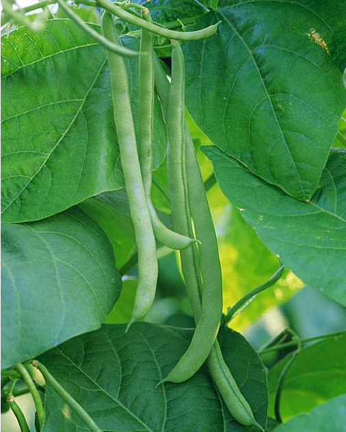   