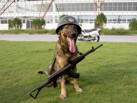 com_mongol home page