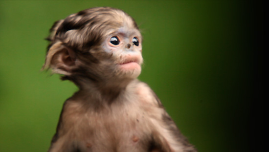 cctv-9纪录频道节目官网_cctv节目官网_央视网