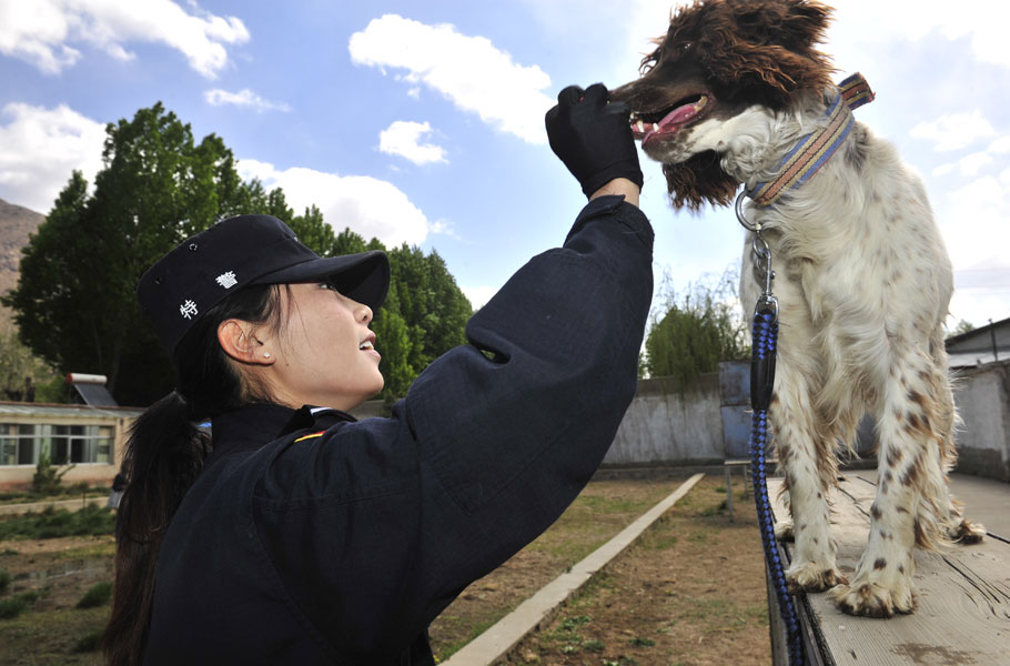 警犬训导员索娜央宗:当警察是我一生最美的梦