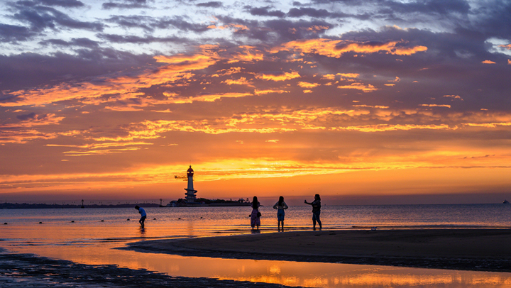 央视网_世界就在眼前