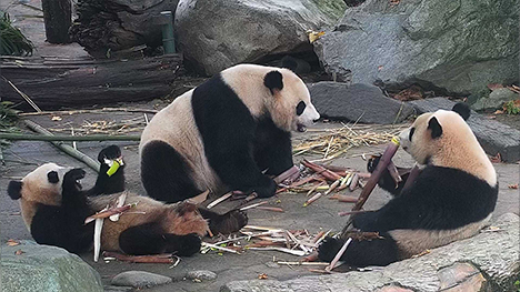 央视网_世界就在眼前