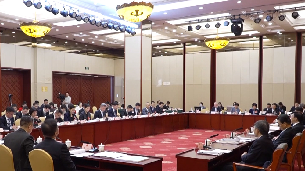 奋力打开改革发展新天地——2025年全国两会 _央视网(cctv.com)