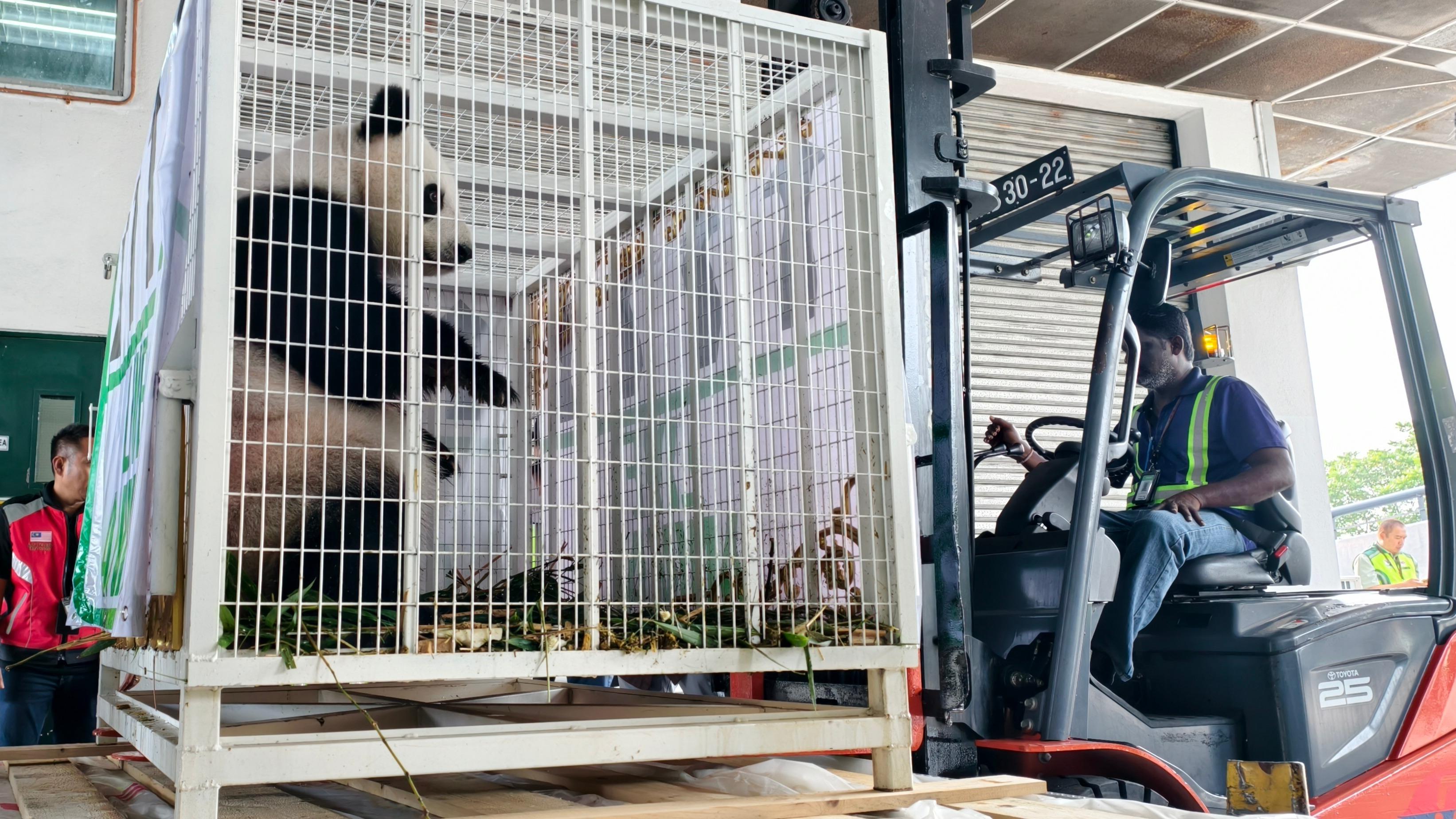 Malaysia's Pandas Return to China; Mexico's Naval Accident with the Brooklyn Bridge; Biden's Memory Declines; India's Satellite Launch Fails; Walmart Increases Cost due to Tariffs; Daily Updates within China