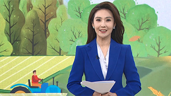 “绿水青山就是金山银山”理念提出二十周年