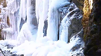 官鹅沟现冰瀑奇观 峡谷“水晶宫殿”上线啦！