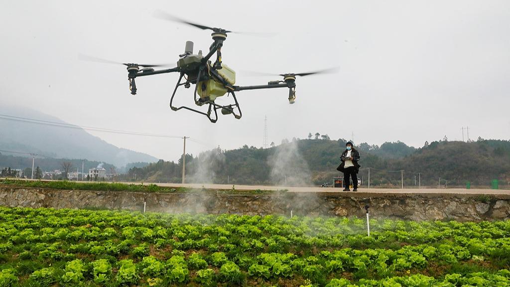 给麦田做“CT”、为种子装“芯片”：新质