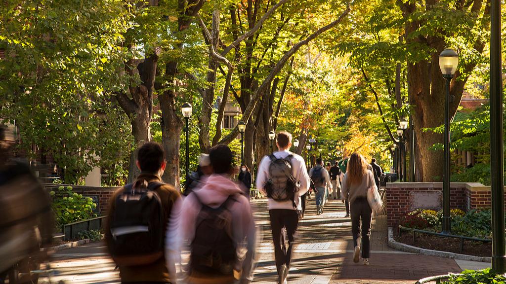 2025年我国留学回国人数达53.56万