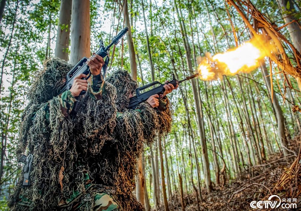 一个图集 1/13 1/13   央视网消息:4月10日,武警广西总队机动支队组织