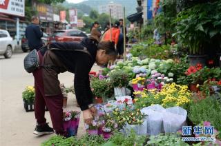 湖南长沙 母亲节花卉俏销 新闻 央视网 Cctv Com