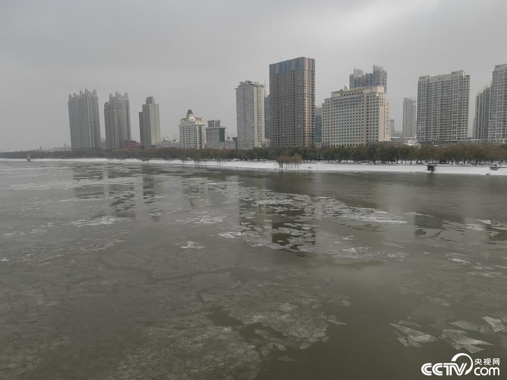 哈尔滨松花江江面现跑冰排景观