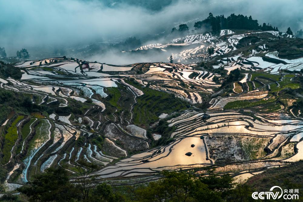 云南红河州泉水灌入梯田宛如天空之镜