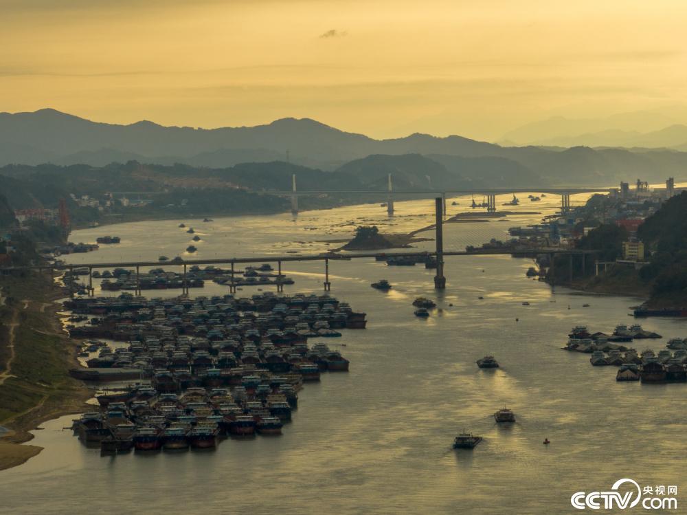 广西梧州西江水上货运船舶往返穿梭