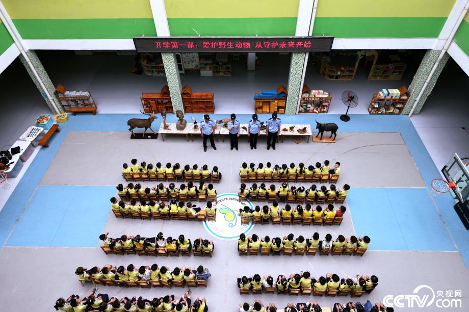 安徽宁国：敬畏生命守护未来 开学第一课之野生动物保护