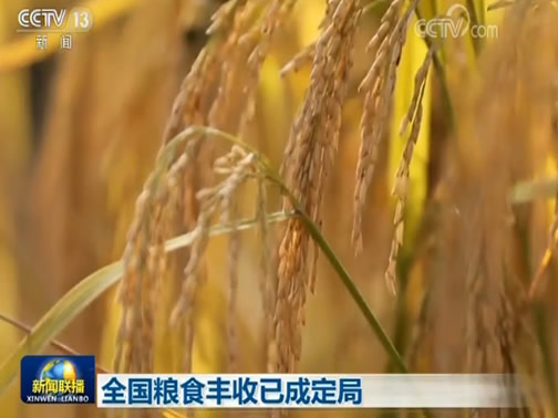 全国粮食丰收已成定局