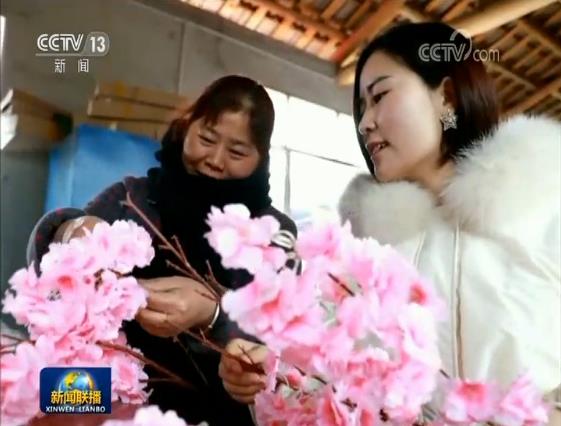 【新春走基层·脱贫攻坚一线见闻】扶贫路上的“轮椅女孩”