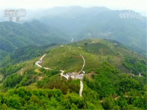 奋力谱写陕西新时代追赶超越新篇章——习近平总书记在陕西考察引起广大干部群众强烈反响