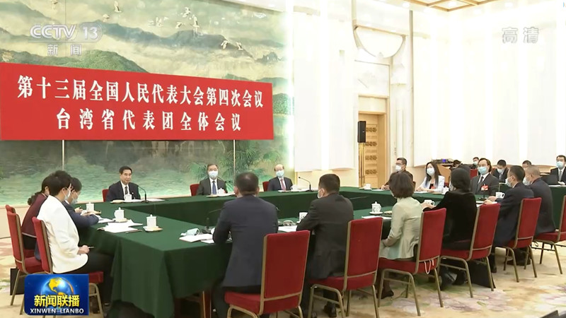 汪洋参加台湾代表团审议
