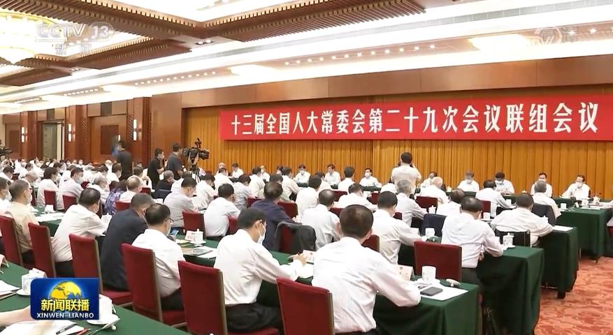 [视频]十三届全国人大常委会第二十九次会议举行联组会议