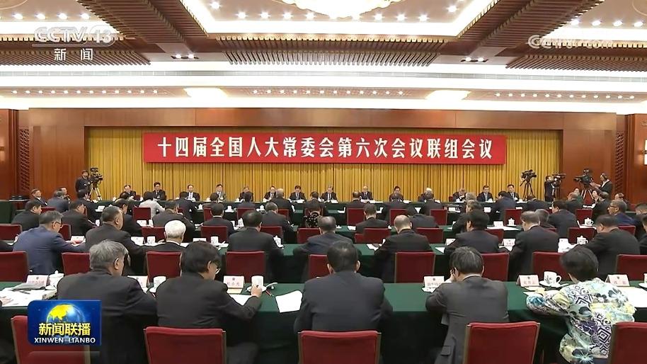 十四届全国人大常委会第六次会议举行联组会议