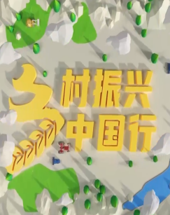 乡村振兴中国行第二季