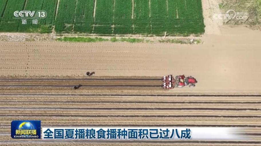 全国夏播粮食播种面积已过八成