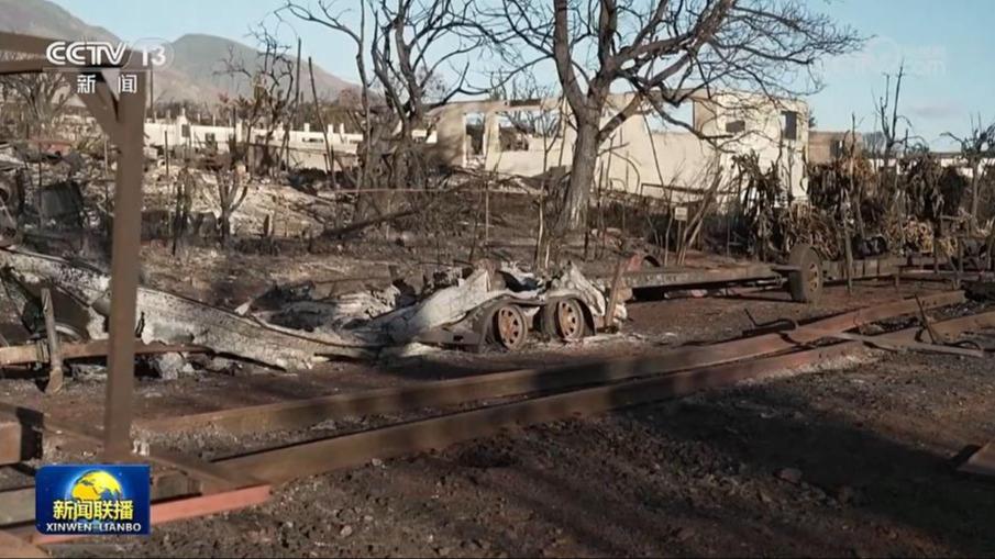 美国毛伊岛大火死亡人数升至114人 民众批评政府应对迟缓