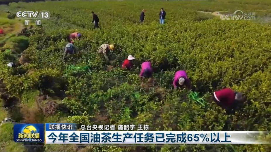 国内联播快讯