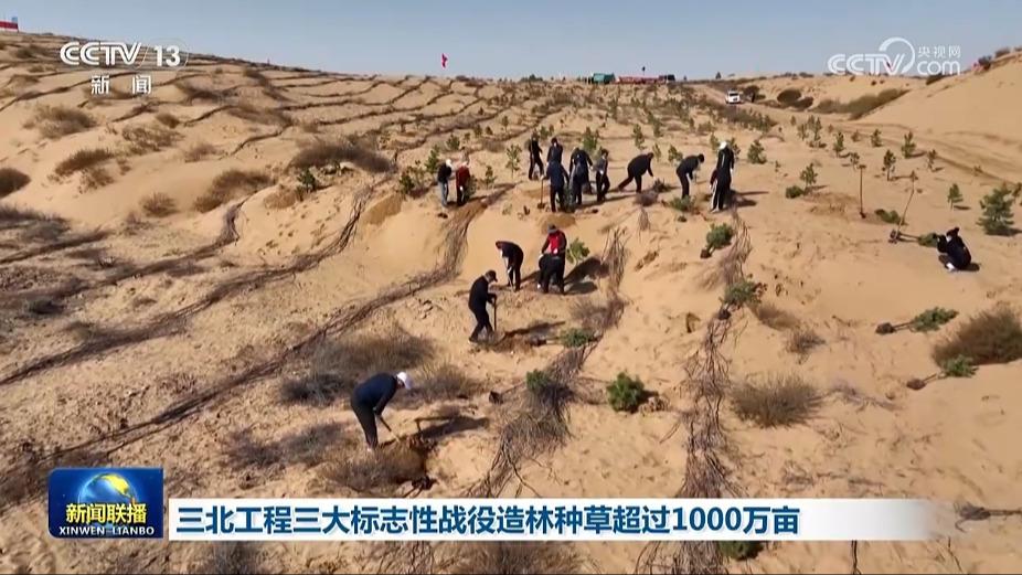 三北工程三大标志性战役造林种草超过1000万亩