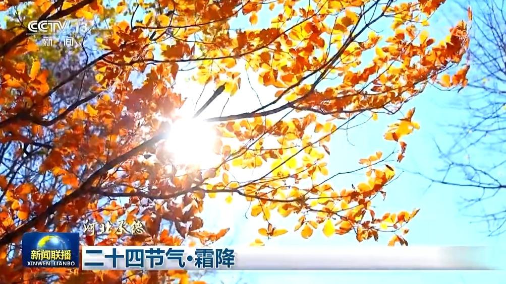 二十四节气·霜降