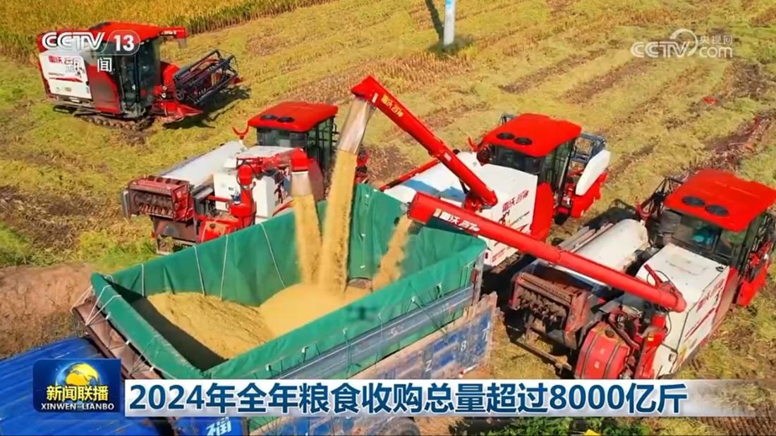 2024年全年粮食收购总量超过8000亿斤